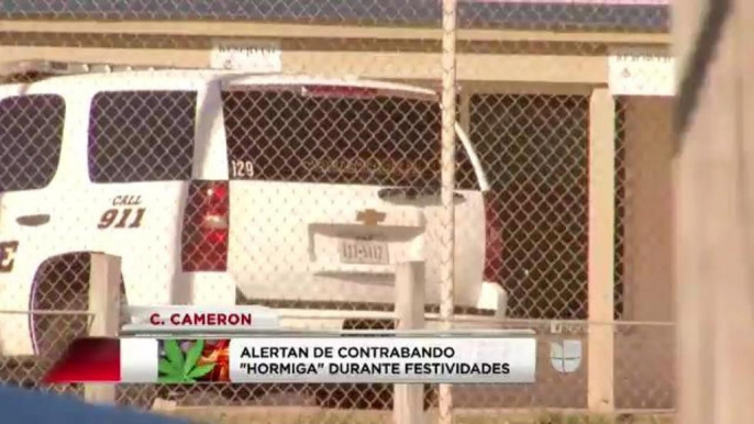 Alertan de contrabando "hormiga" durante festividades