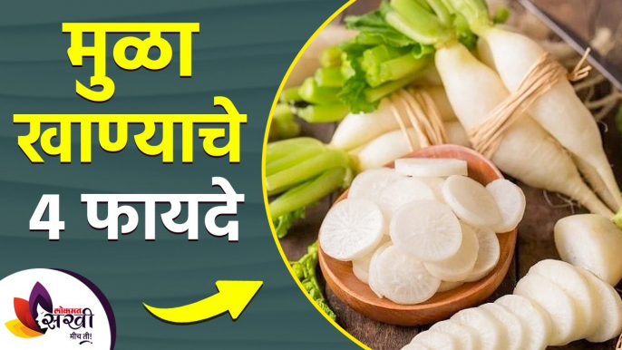 थंडीत मुळा खाण्याचे ४ फायदे | 4 Amazing Benefits of Radish | Benefits of Radish Eating |Health Care