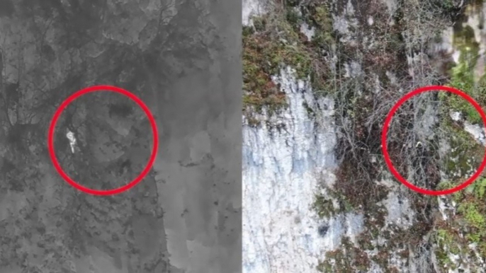 L'Aquila - Cane disperso su parete rocciosa, salvato dai Vigili del Fuoco (28.11.21