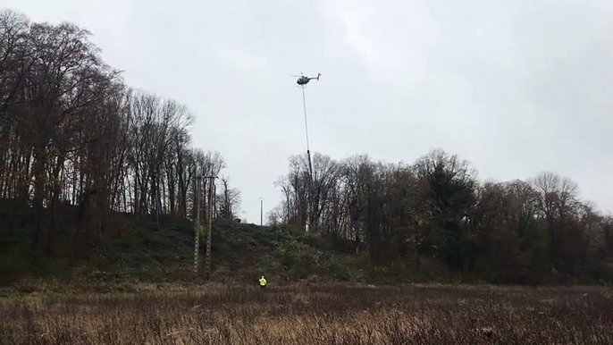 Des arbres sont élagués sur 350 mètres près  d'une ligne électrique à La Faloise