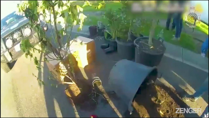 Cop Seize USD 5 Million Of Crystal Meth From House Plant Pots.mp4