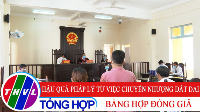 Đời sống pháp luật: Hậu quả pháp lý từ việc chuyển nhượng đất đai bằng hợp đồng giả