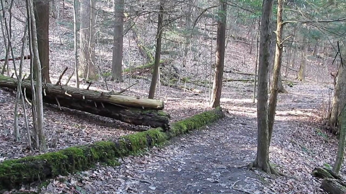 Buttermilk Falls State Park Hiking February 27 2018