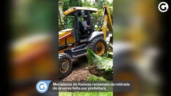 Moradores de Itaúnas reclamam da retirada de árvores feita por prefeitura