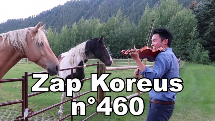 Zap Koreus n°460