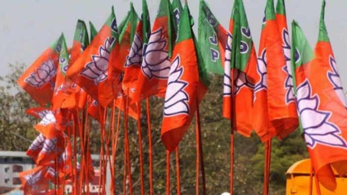 BJP finalise candidates 2nd & 3rd phase for UP polls