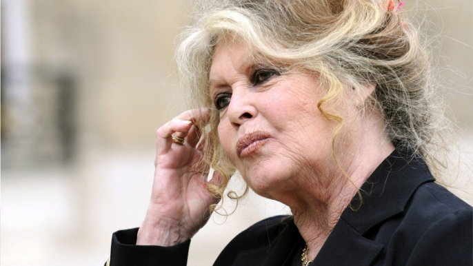 VOICI : Brigitte Bardot : pourquoi elle n’a plus de nouvelles d’Alain Delon