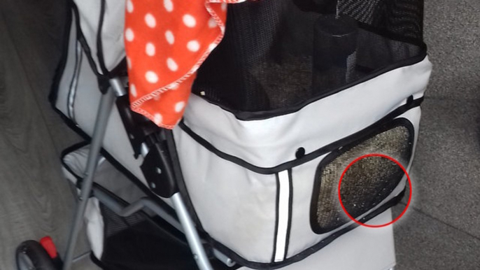 A Man Found Something Horrifying In This Abandoned Pram In The Middle Of The Night