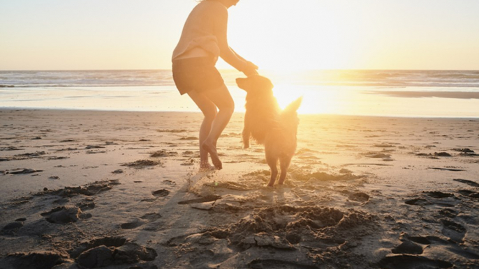 This Is Why Owning A Dog Could Help You Live Longer