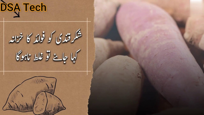 Health Benefits of Sweet Potatoes And Side Effects || Shakarkandi ke Fayde Aur Nuksan