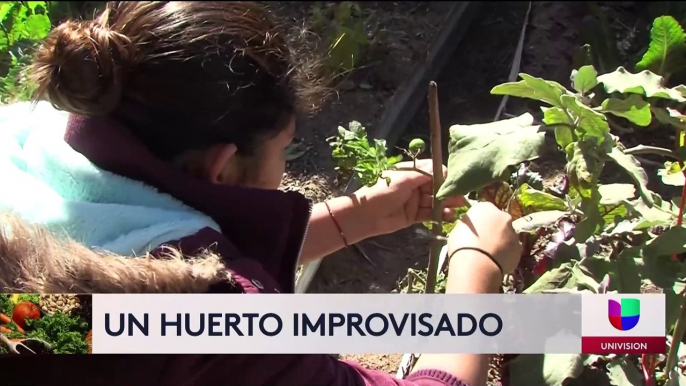 Ante escasez de comida, migrantes crean huerto para cosechar sus propios alimentos