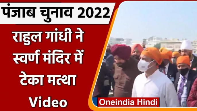 Punjab Election 2022: Rahul Gandhi ने Golden Temple में टेका मत्था, देखिए Video | वनइंडिया हिंदी