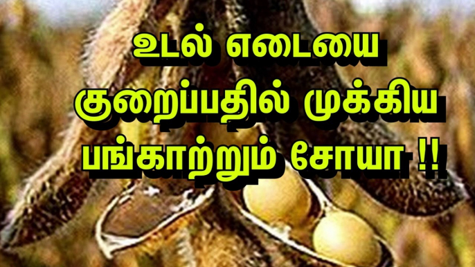 உடல் எடையை குறைப்பதில் முக்கிய பங்காற்றும் சோயா!!