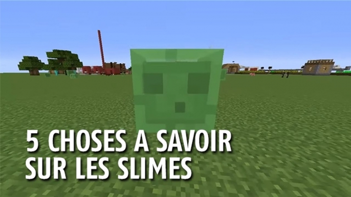 Minecraft : 5 choses à savoir sur les slimes