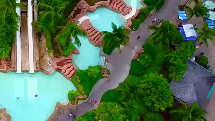 BAHAMAS SHARK HOTEL is Back! (Funnel Vision @ Atlantis 2018)