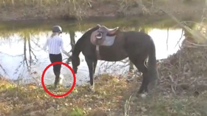 Ce cheval a peur de l'eau mais sa maîtresse a décidé de l'aider. Et il va surmonter l'épreuve comme un chef