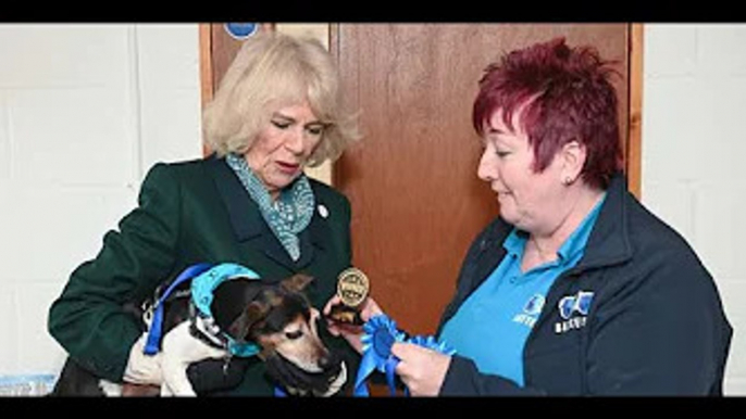 Camilla, Duchess of Cornwall Brings Rescue Dog Beth on Royal Outing — and Wins a Prize!