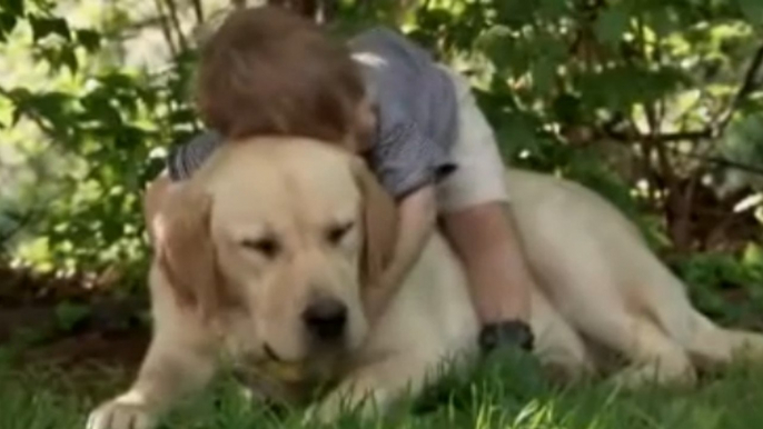 Ce chien et cet enfant ont une amitié hors du commun. Ils vont vous faire craquer