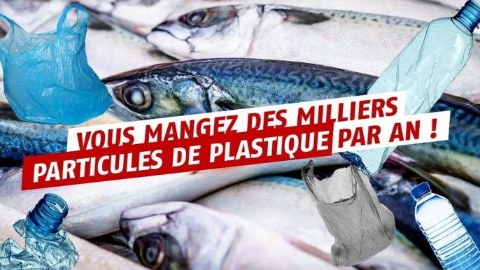 Consommateur de poissons, vous mangez des milliers de bouts de plastique par an !