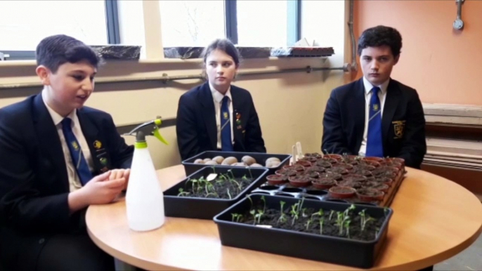 Sandhill View Academy pupils start an Eco Garden initiative