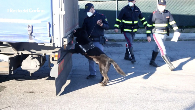 Cesena, controlli straordinari per le pattuglie della polizia stradale