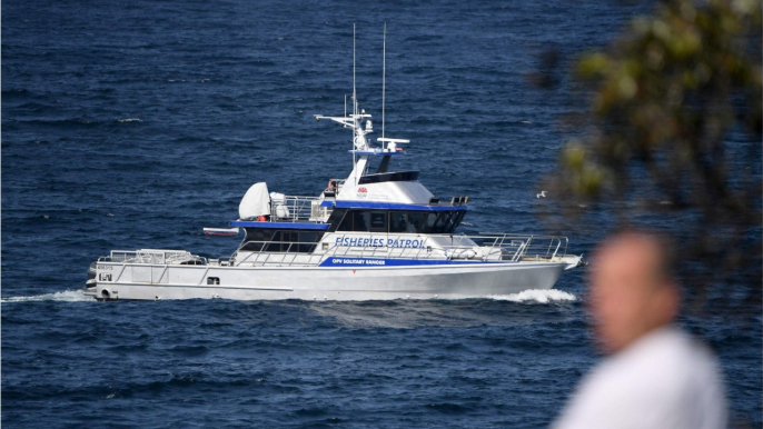 Australie : un nageur tué par un grand requin blanc, une première depuis 60 ans