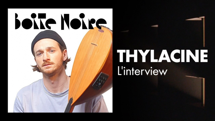 Thylacine (L'interview) | Boite Noire