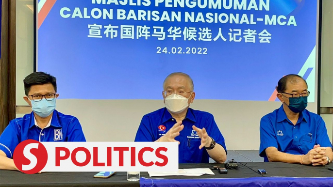 Johor polls: MCA announces names 14 out of 15 candidates