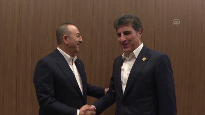 Çavuşoğlu, IKBY Başkanı Neçirvan Barzani ile görüştü