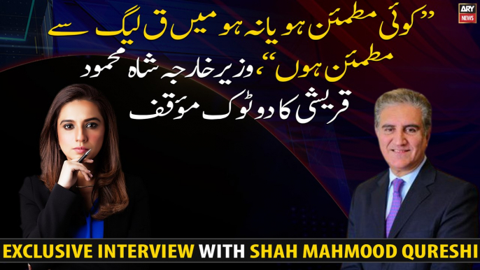 "I believe that PML-Q will support Government", says Foreign Minister Shah Mahmood Qureshi