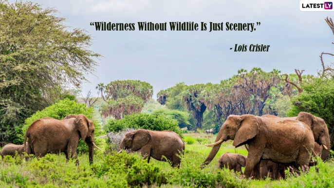 World Wildlife Day 2022: Quotes, Messages and Images Raising Awareness on Wildlife and Nature