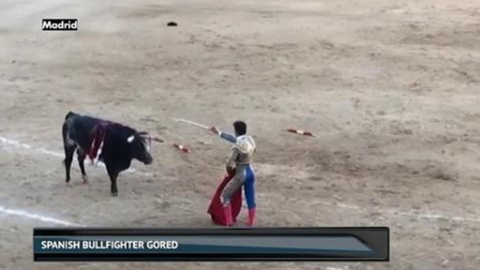 Spanish bullfighter gored