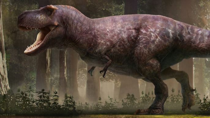 Tyrannosaurus rex : la plus fidèle reconstruction du dinosaure jamais réalisée