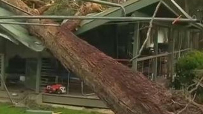 One killed, thousands without power as storms hit Australia