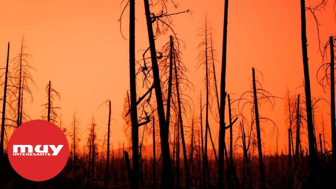 Los incendios masivos crecerán un 50% a final de siglo