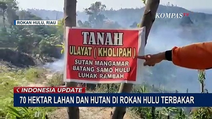 70 Hektar Hutan Rokan Hulu Terbakar, Akses dan Cuaca Panas Ekstrem Pemicu Sulitnya Pemadaman Api