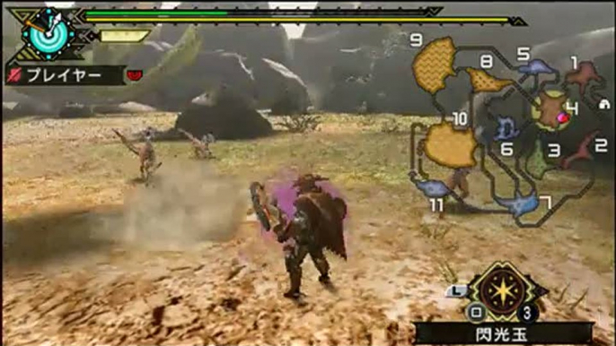 Monster Hunter Portable 3rd : Combats et armes