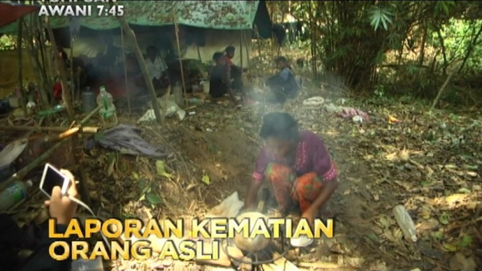 Tumpuan AWANI 7.45: Laporan kematian Orang Asli & eksport ke China