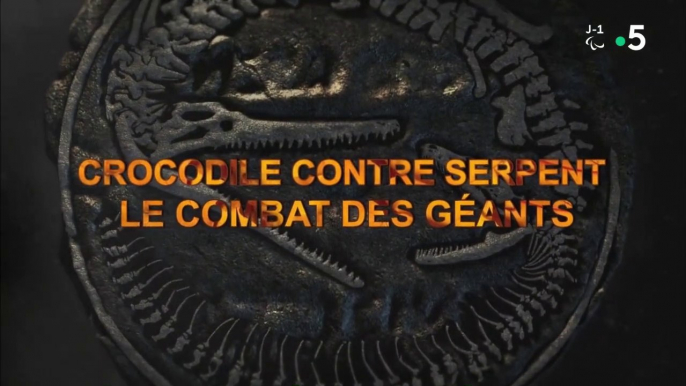 Crocodile contre serpent : le combat des géants