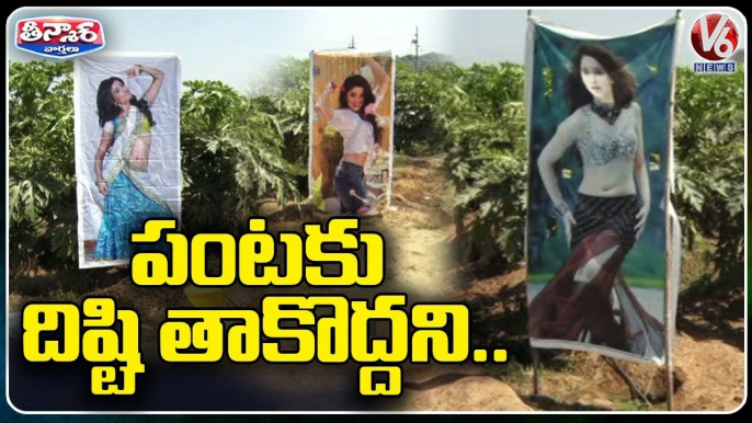 Nizamabad Farmer Puts Up Heroines Flex To Protect Crop From Evil Eye _ V6 Weekend Teenmaar