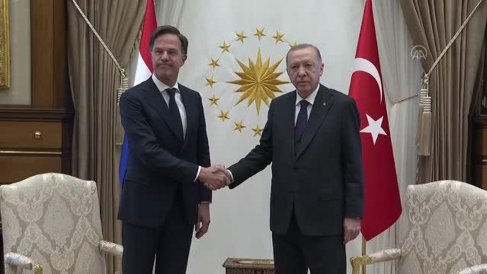 Cumhurbaşkanı Recep Tayyip Erdoğan, Hollanda Başbakanı Mark Rutte ile görüştü