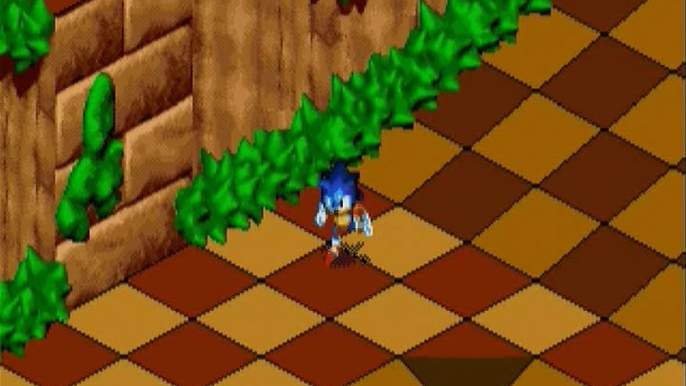 Sonic 3D : Flickies' Island : Sonic rencontre la 3D