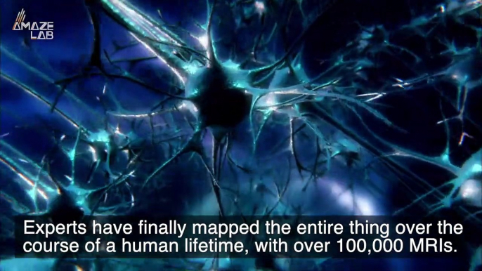 Over 100,000 MRIs Captured Over 100s of Lifetimes Has Finally Let Experts Map the Human Brain