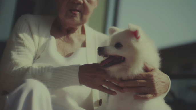 Depressionen: Woran ihr erkennen könnt, ob euer Hund depressiv ist und wie ihr ihm helfen könnt