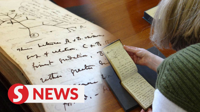 Missing Charles Darwin notebooks anonymously returned