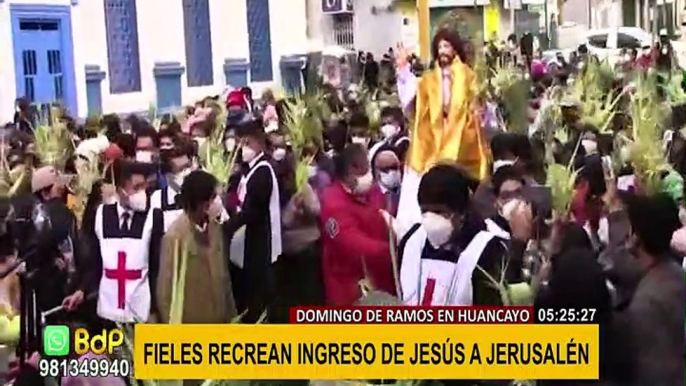 Semana Santa: fieles de distintas regiones participaron en misas y procesiones por Domingo de Ramos