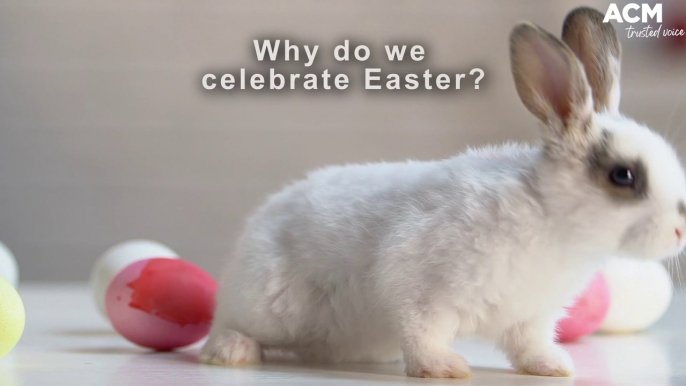 Where did our Easter traditions come from? | April 12, 2022 | ACM