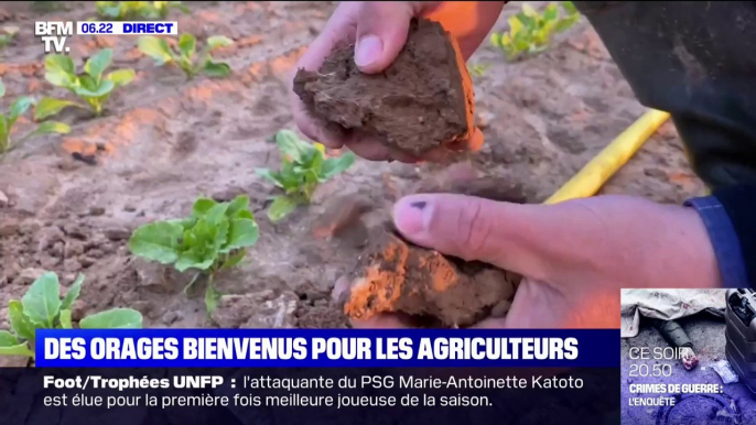 Orages et pluies: un temps bienvenu pour les agriculteurs pour faire face à la sécheresse