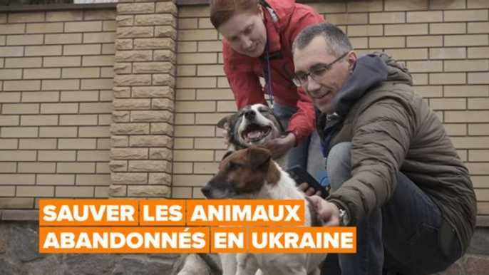 Sauver les animaux abandonnés de l'Ukraine