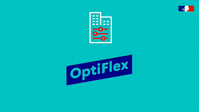 OptiFlex : Repenser les modes de travail au service de la qualité de vie et de la maîtrise de l'empreinte environnementale - Entrepreneurs d'Intérêt Général